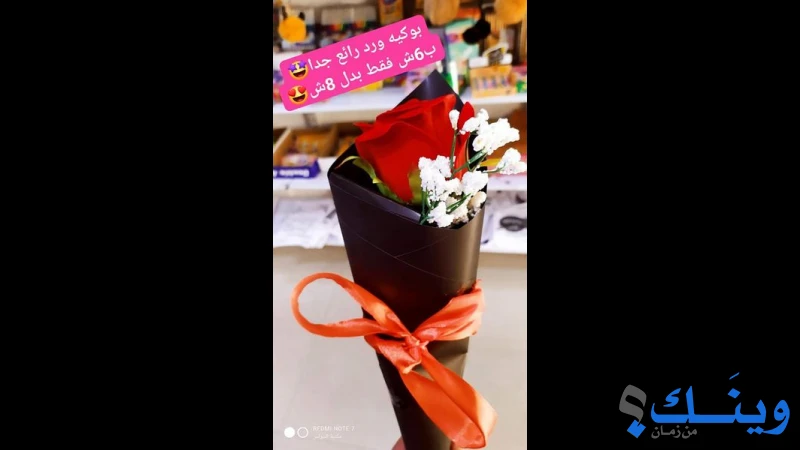 مكتبة النبراس