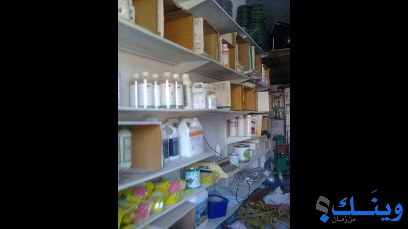 توأم عودة اخوان