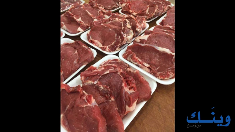 ملحمة الريف