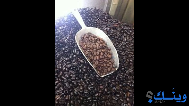 مطاحن بن عكوبة