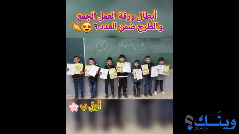 مدرسة عبد الحي شاهين الاساسية للبنين