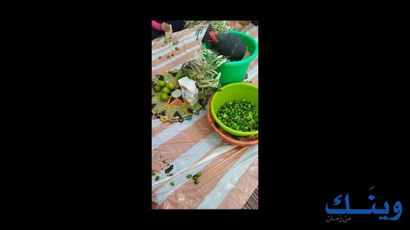 جمعية الشبان المسيحية ( واي. ام. سي. ايه )
