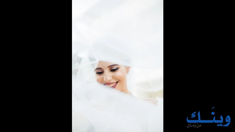 ستوديو المنار