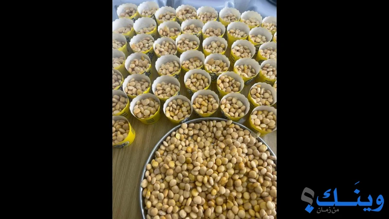 روضة روجيب النموذجية