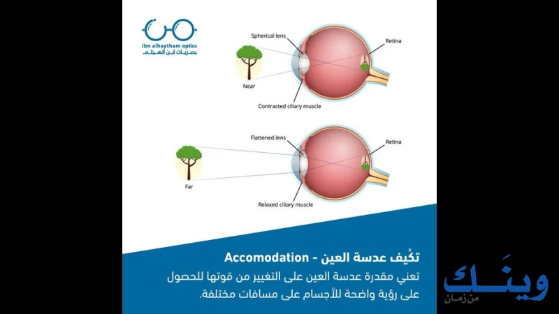 بصريات ابن الهيثم