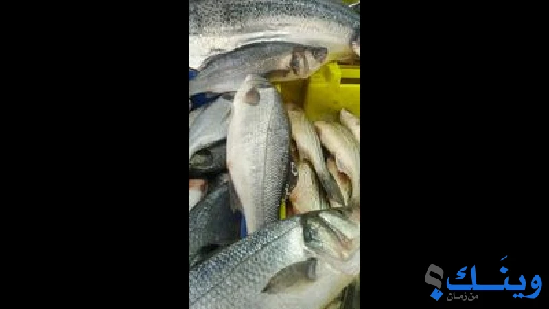 مسمكة ابو شكري العامودي