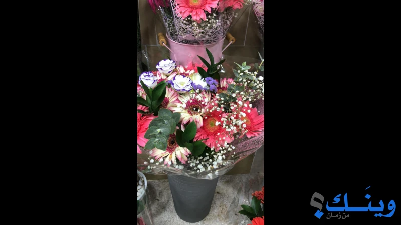 مشتل دنيا الازهار