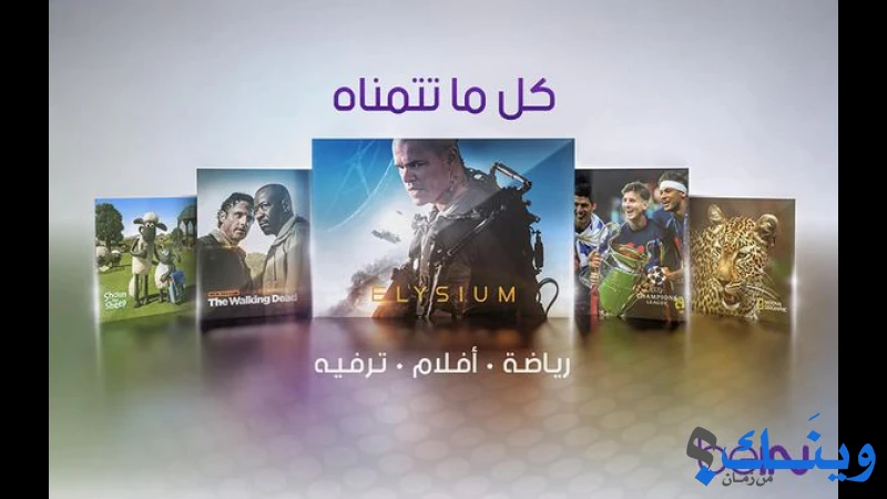 المؤسسة الفلسطينية للخدمات الرقمية