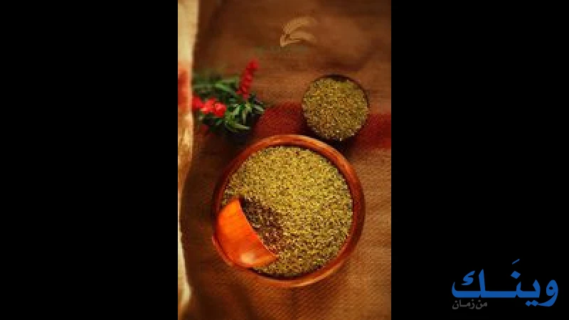 مطحنة الرفيدي