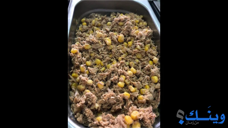 نكاريش