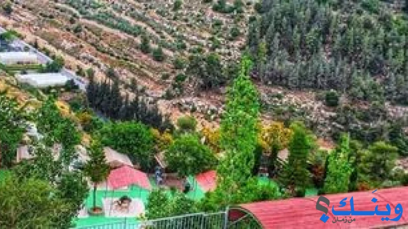 مسبح ومنتزه الكرمل السياحي