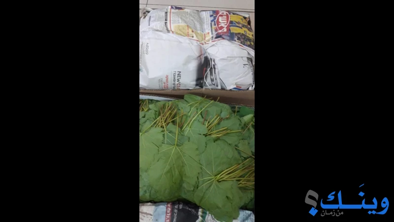 مركز العوجا التجاري