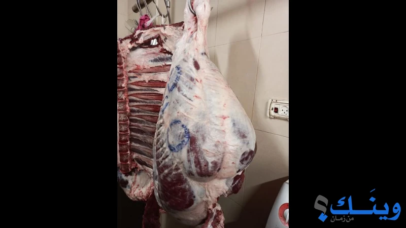 ملحمة عبد الرؤوف