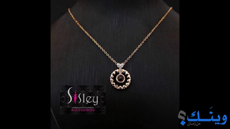 Sisley accessories