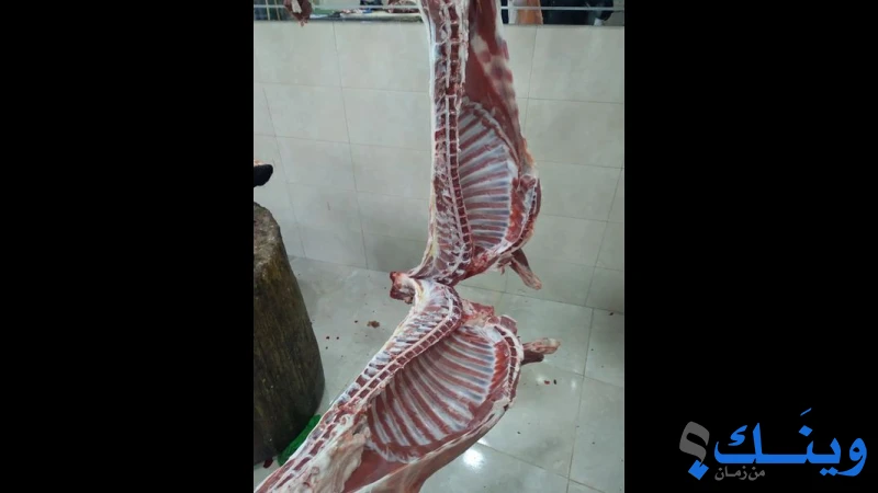 ملحمة الاقصى