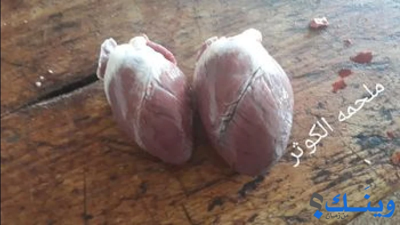 ملحمة الكوثر