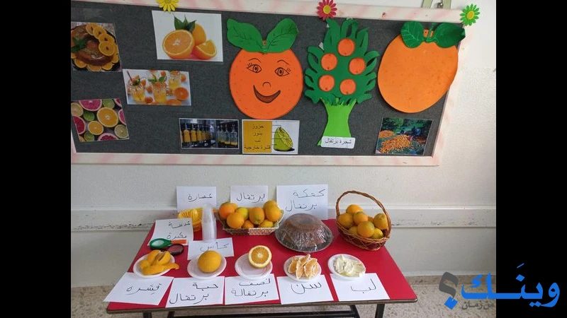روضة المنار النموذدجية