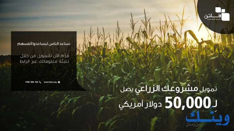 الفلسطينية للاقراض والتنمية ( فاتن )