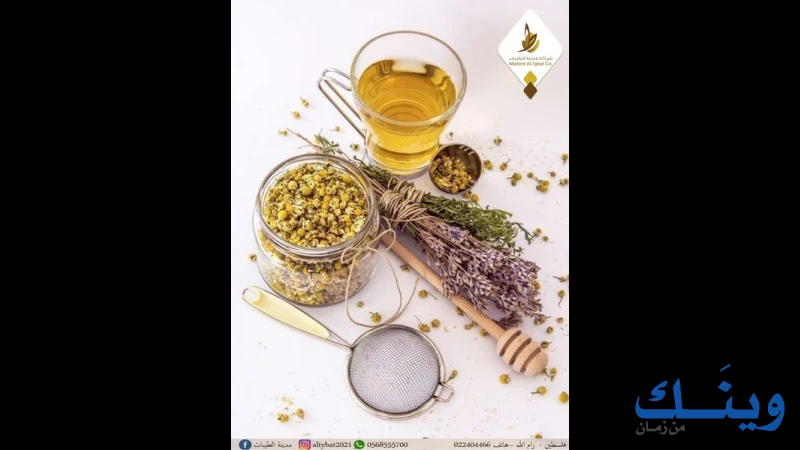 مدينة الطيبات للبن والمكسرات - طيبات المنارة