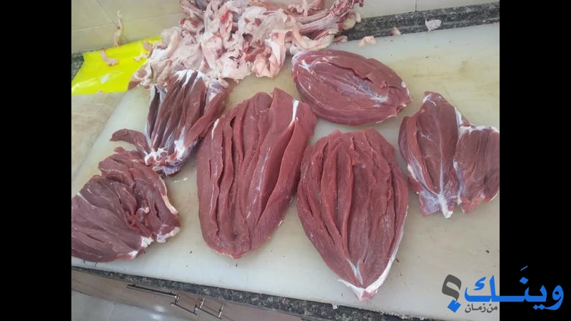 ملحمة الاقصى
