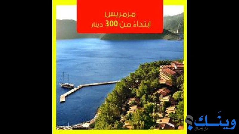 جريدة الوسيط