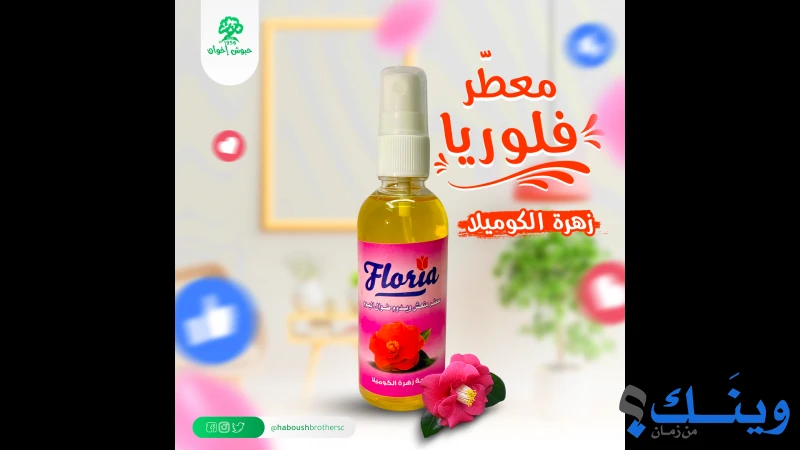 شركة حبوش اخوان