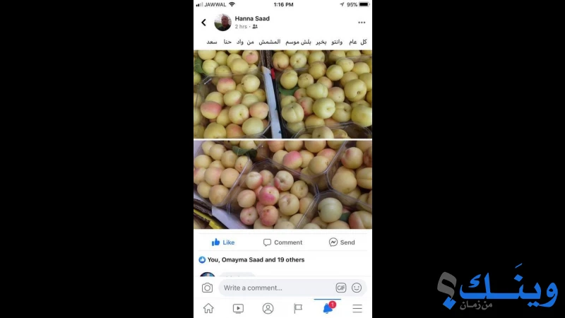 ملحمة وخضار الشعب