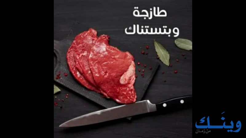 ملحمة الريف