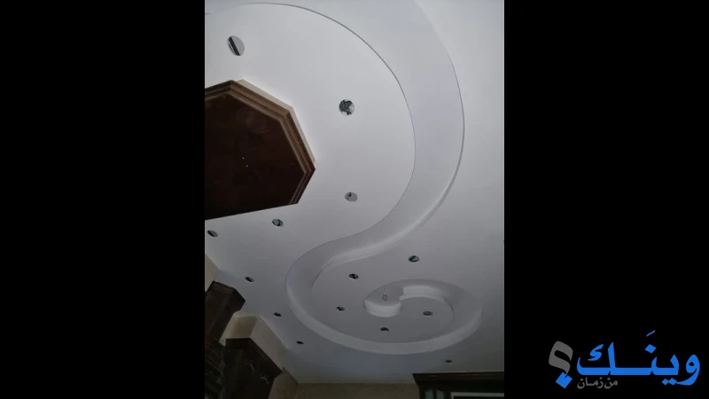 نخلة ديكور
