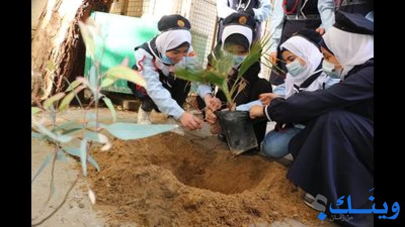بلدية المغراقة