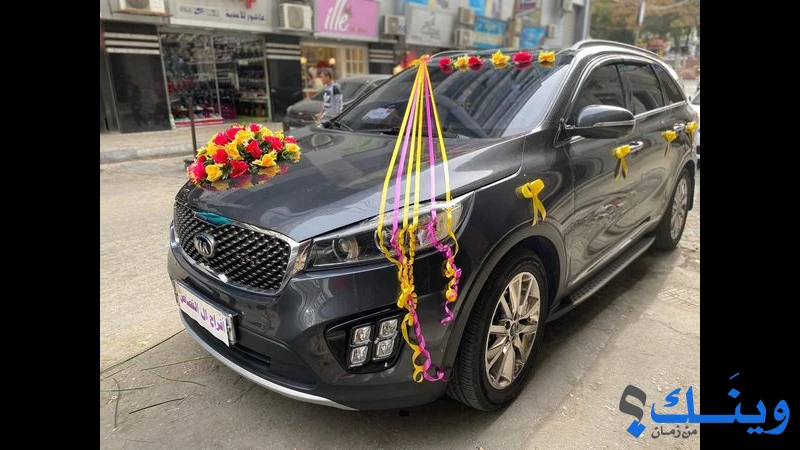 ازهار الربيع