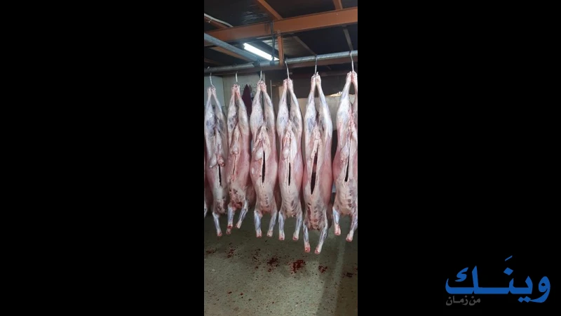 ملحمة الناطور