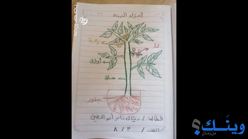 مدرسة الفخاري الابتدائية المشتركة ( أ )