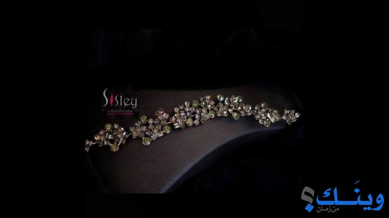 Sisley accessories