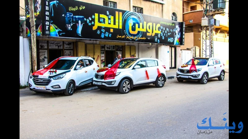 ستوديو عروس البحر