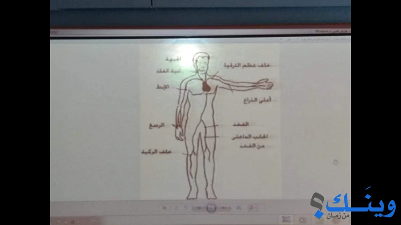مدرسة صبرا وشاتيلا الثانوية للبنات