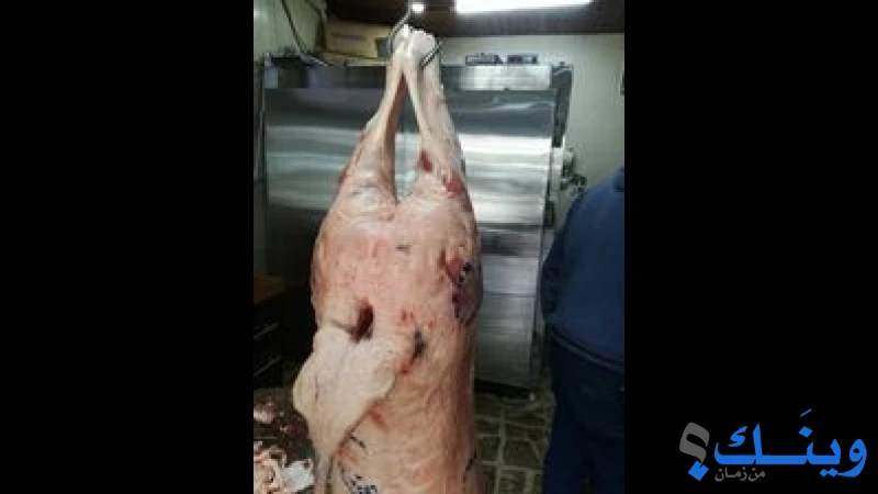 ملحمة عبد الرؤوف