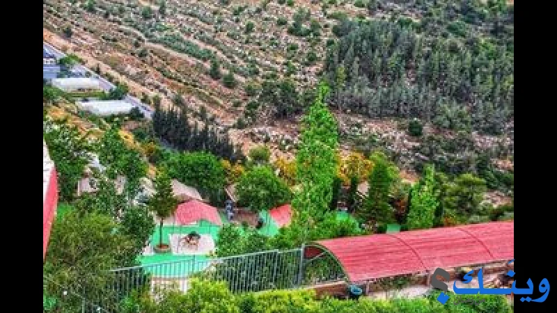 مسبح ومنتزه الكرمل السياحي