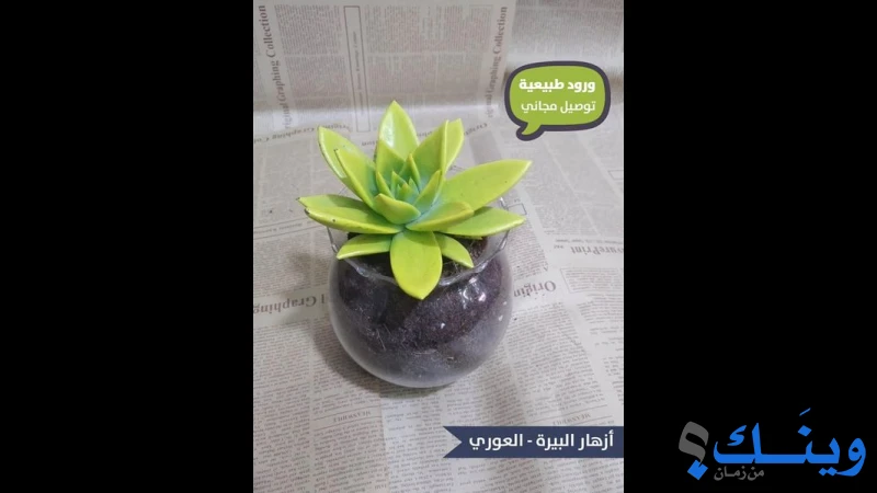 ازهار البيرة العوري