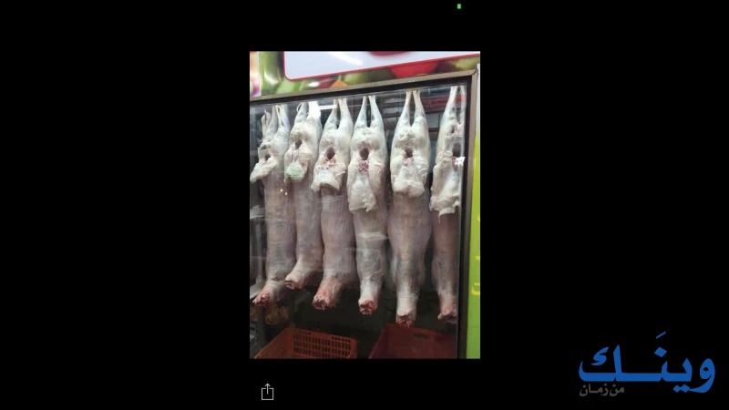 ملحمة الامين