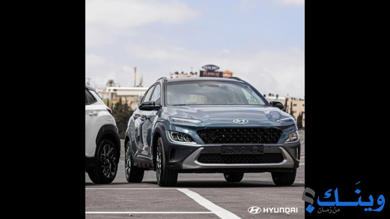 Hyundai Palestine