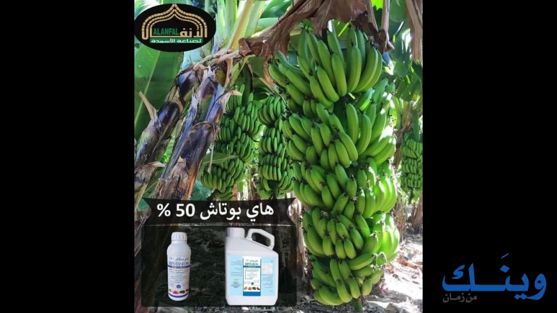 الدرعاوي للتنمية الزراعية