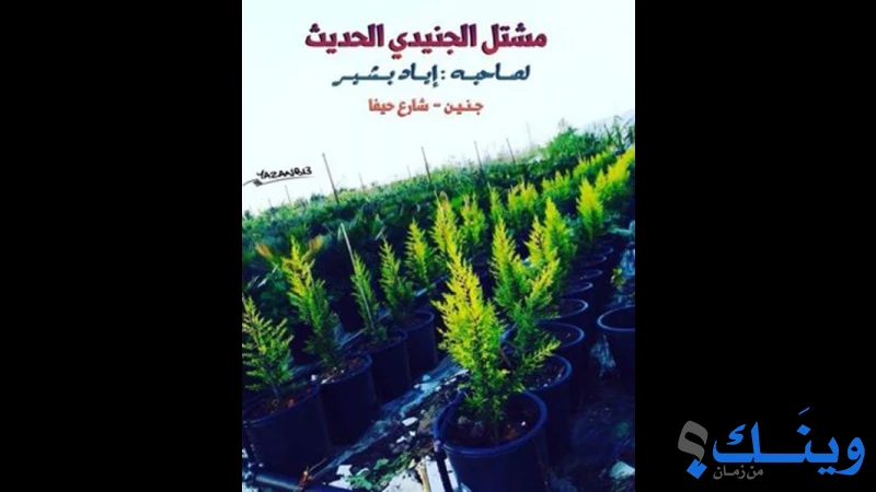 مشتل الجنيدي الحديث