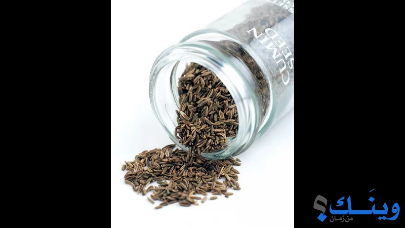 بهارات سندباد