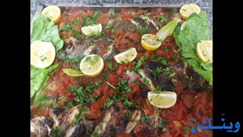 مسمكة سفينة الصياد