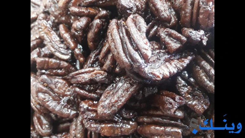 محمص وبن لؤلؤة الباشا