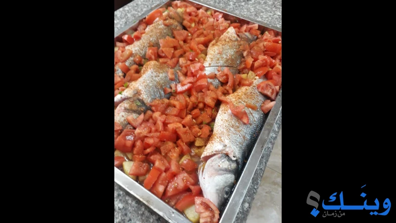مسمكة سفينة الصياد