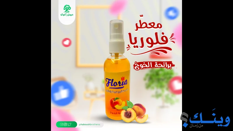 شركة حبوش اخوان