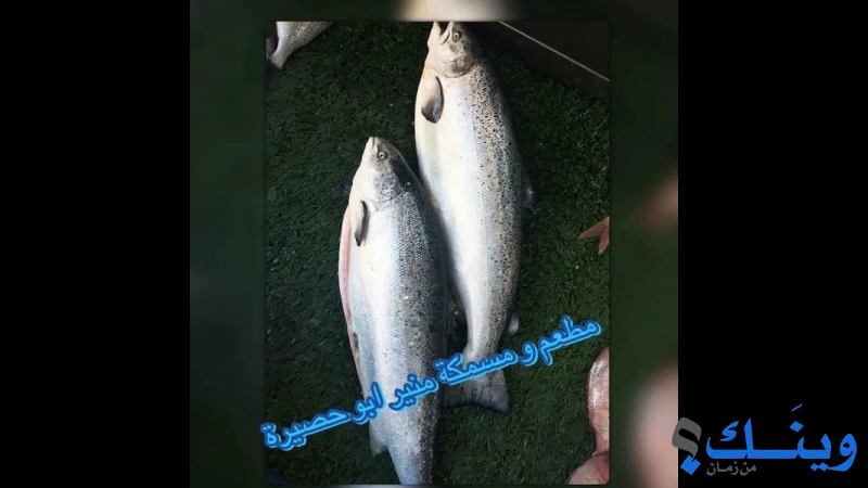 مطعم ومسمكة منير ابو حصيرة