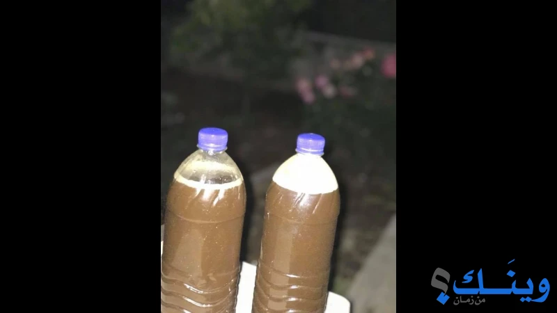 بوفيه الصوصو